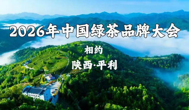 品牌大会在信阳举办 平利接力2026j9九游会入口首页2025中国绿茶(图4)