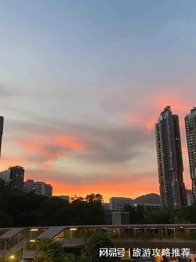 精英专属高端体验澳门新葡京酒店J9数字平台深港澳私人定制商务(图1)
